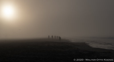 Fog Walkers