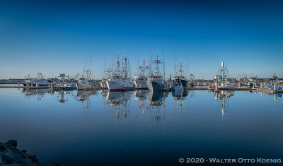 Morning at the Tuna Harbor 