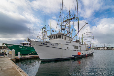 Seah Hunt & Sea Haven