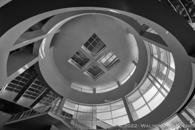 Entrance Hall Ceiling