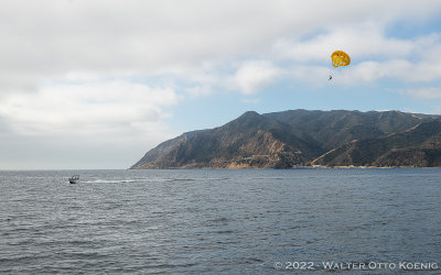 Parasailing off Catalina