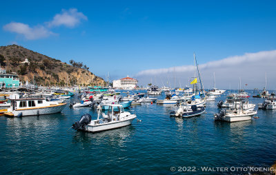 Avalon Harbor