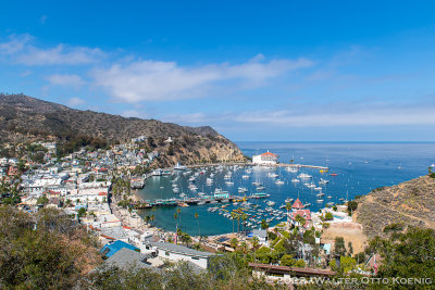 View of Avalon and Harbor