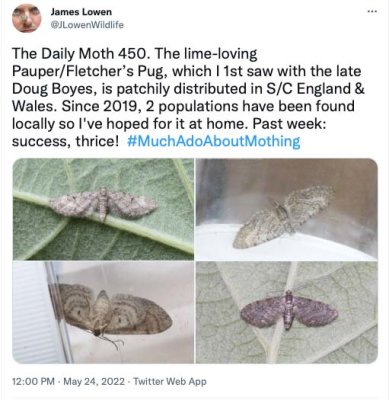 The Daily Moth 450-499