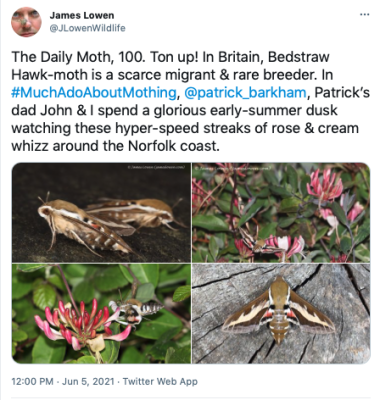 The Daily Moth 100-149