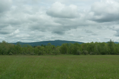 JTL_8009.jpg