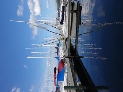 DSC08249.JPG