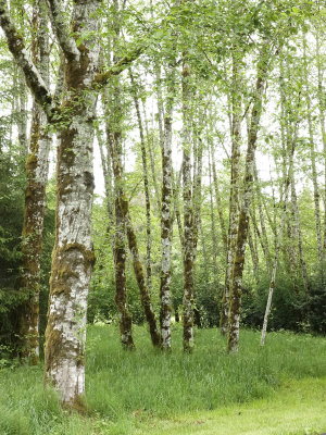002-Oregon2019-104.JPG