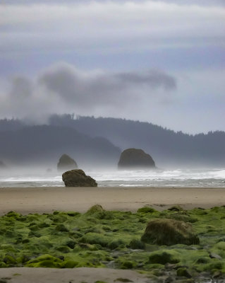 011-Oregon2019-137.JPG