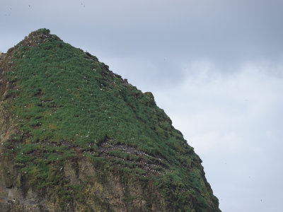 013-Oregon2019-152.JPG