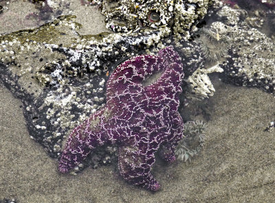 015-Oregon2019-144.JPG