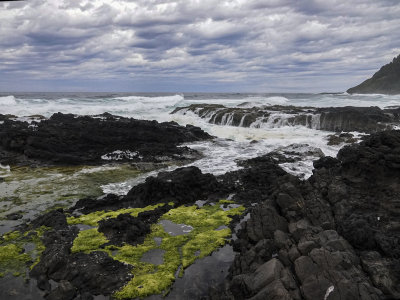 040-Oregon2019-234.JPG