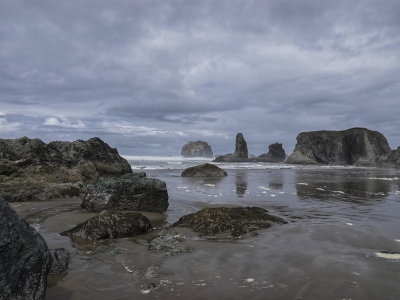 072-Oregon 2019-IMG_0833.jpg