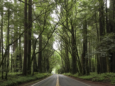 094-Oregon2019-478.jpg