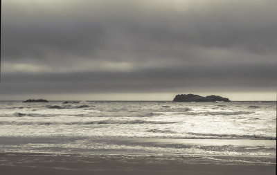 099-Oregon2019-514.JPG
