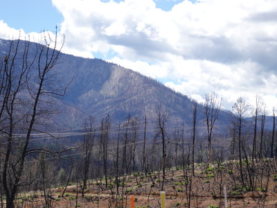 106-Oregon2019-536.JPG