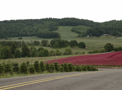 127-Oregon2019-665.jpg