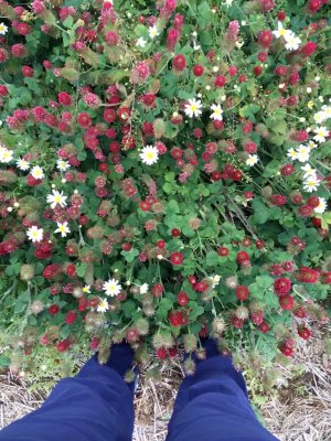 128-Oregon 2019-IMG_0914.jpeg