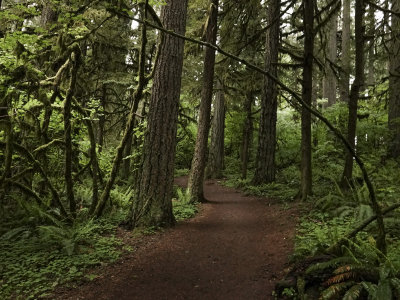 135-Oregon2019-687.JPG