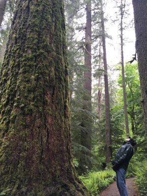 135a-OREGON 2019-IMG_0926.jpeg