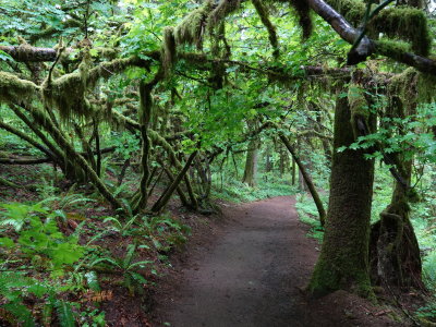 136-Oregon2019-689.JPG