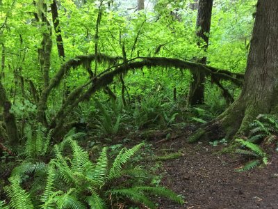 136a-Oregon 2019-IMG_0924.jpeg