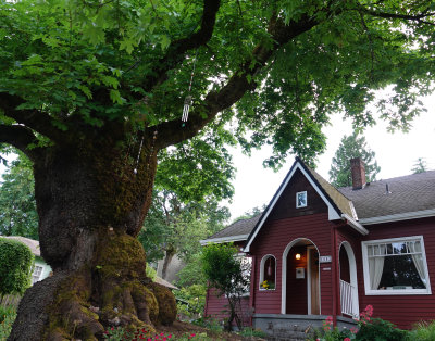 152-Oregon2019-732.JPG