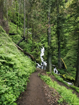 162-Oregon2019-780.JPG