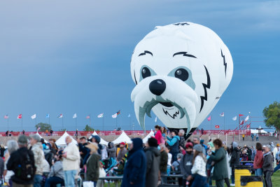 Albuquerque Balloon Fiesta 2021