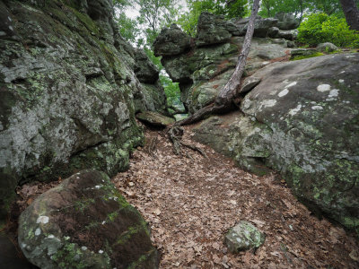 P5219404.jpg - Rock House Cave Trail