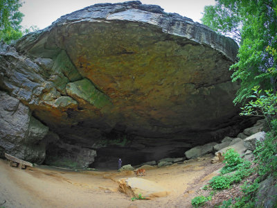 P5219420.jpg - Rock House Cave