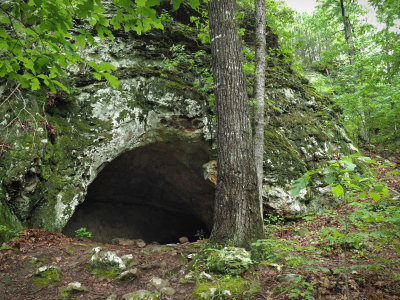P5229438.jpg - Seven Hollows Trail Cave