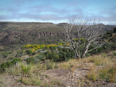 PA306158.jpg
