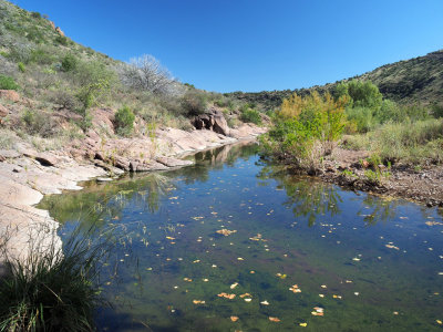 PA316389 - Seep Trail at Limpia Creek.jpg