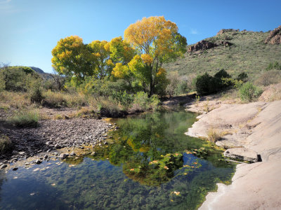PA316405 - Fall On Limpia Creek.jpg