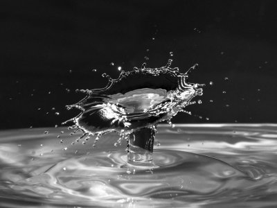 P1128420 B&W.jpg