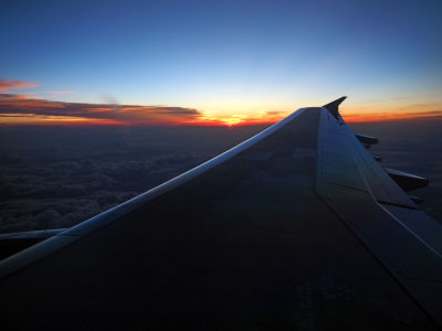 P5294394.jpg