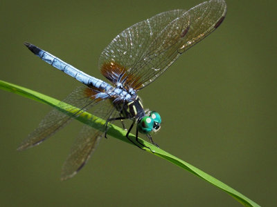 P9034000.jpg