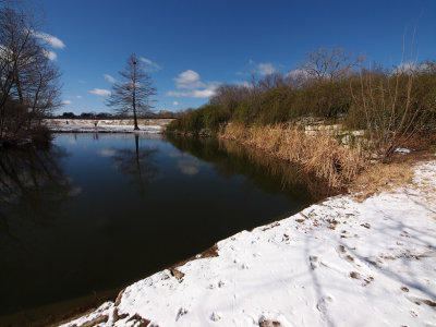 P2047300 - Winter Day.jpg