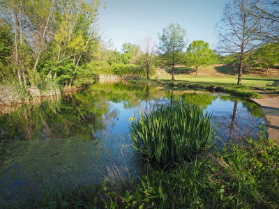 P3307355.jpg