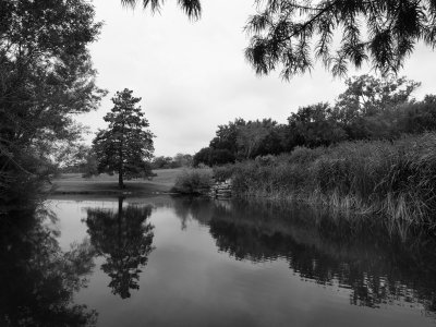 P6081148 - Northwest Park B&W.jpg