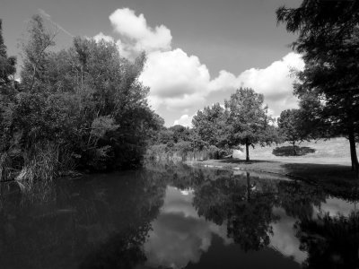 P9033937 - Northwest Park.jpg