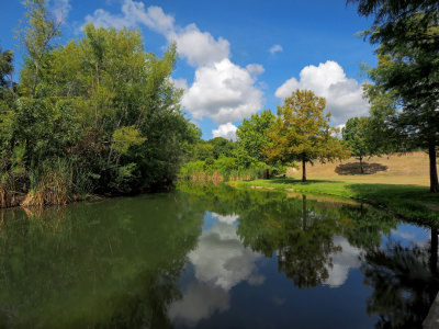 P9033942 - Summer Afternoon at Northwest Park.jpg