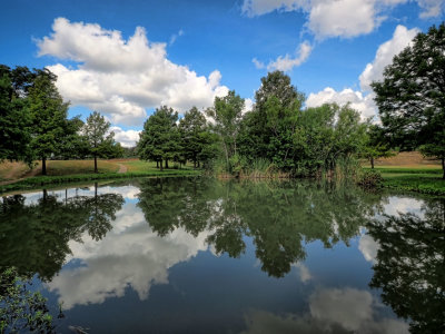 P9033948 - Summer at Northwest Park.jpg