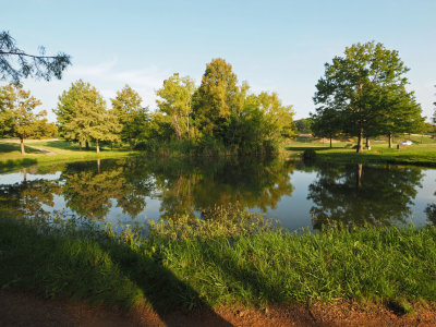 P9160185 - Northwest Park Reflections.jpg