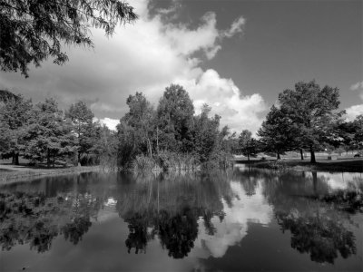 P9174014 - Northwest Park Afternoon.jpg