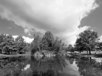 P9174030 - Storm Cloud.jpg