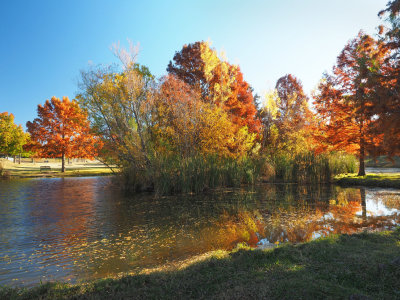 PB271733 - Northwest Park Color.jpg
