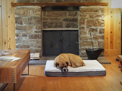 PA165510.jpg