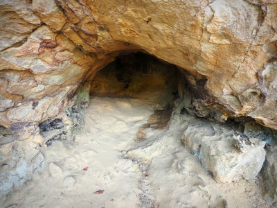 PA175519.jpg